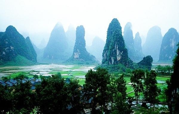 植物大战僵尸21